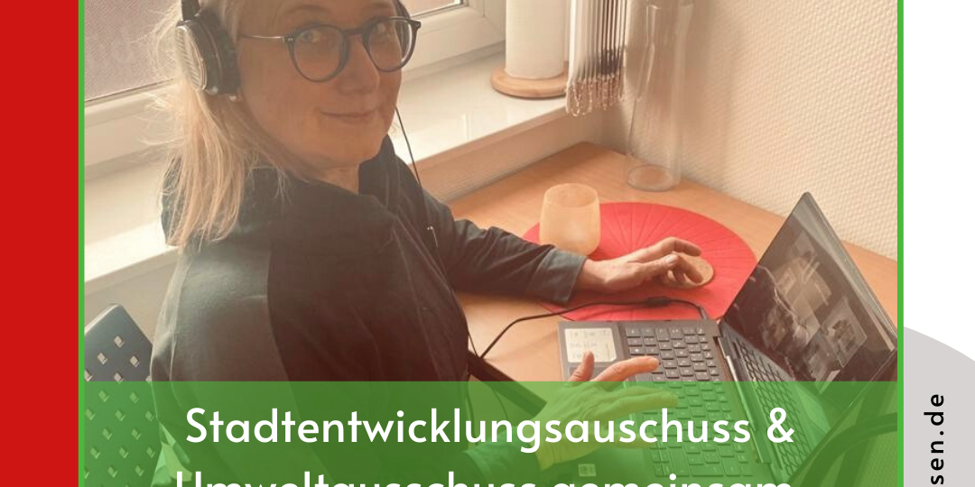 Post zum Stadtentwicklungsausschuss am 3.3.2022